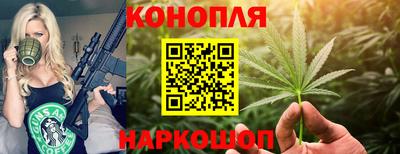 кокс Кудрово