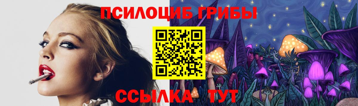 Псилоцибиновые грибы Psilocybe Дербент